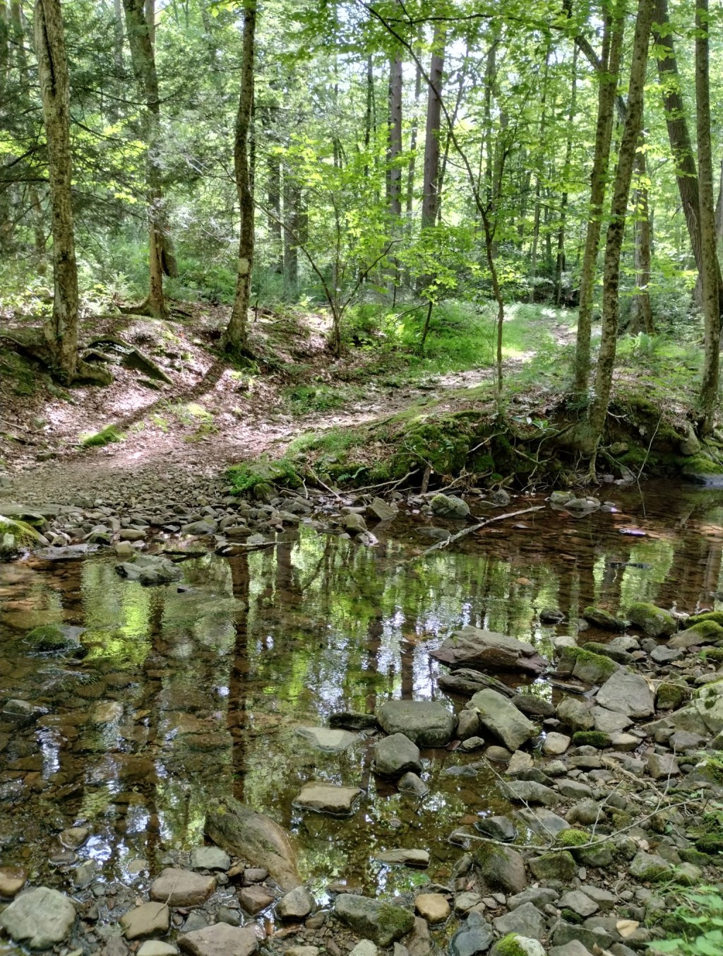 Poetry Challenge: Honor MLK By Describing How You Dream A&nbsp;World