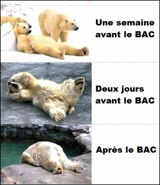 La “graduation” américaine vs le Bac français ~ The American graduation vs the French&nbsp;Diploma