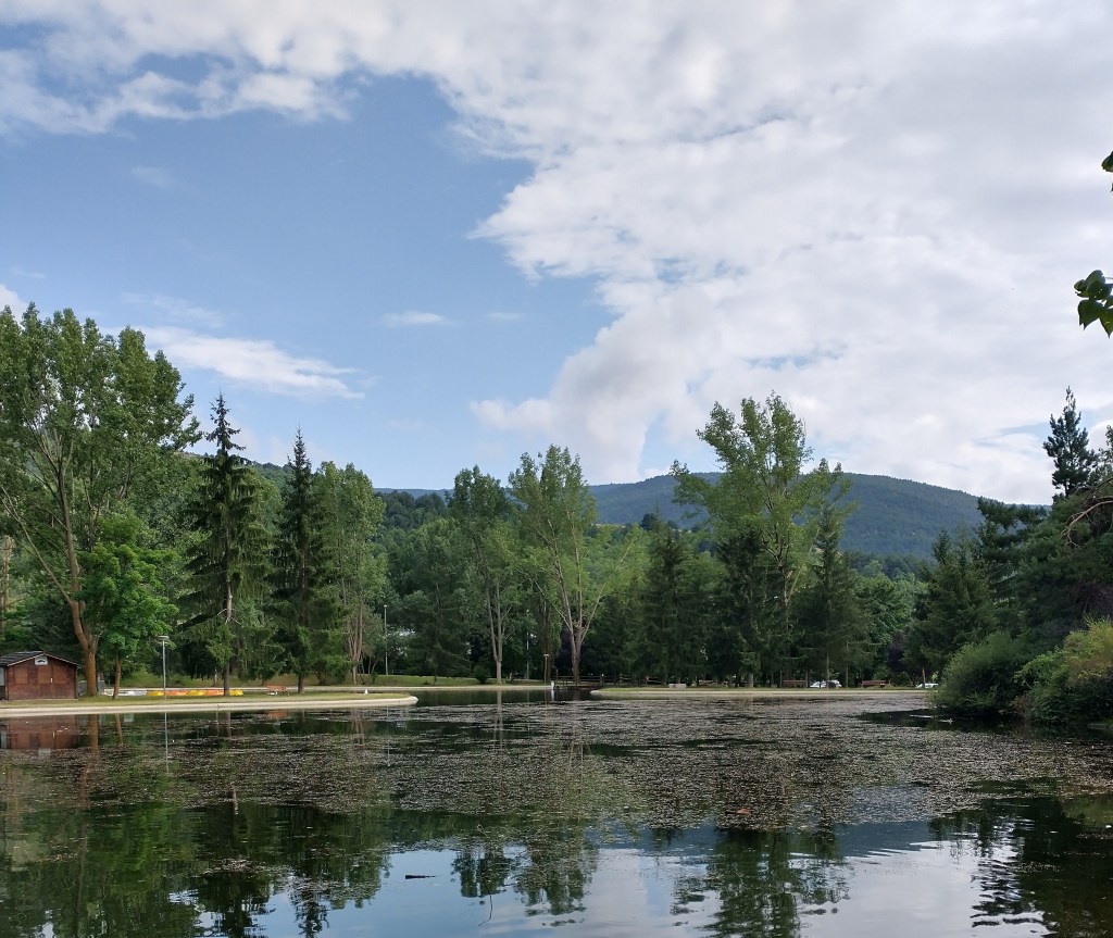 Voyager avec COVID ~ Travels with COVID&nbsp;2