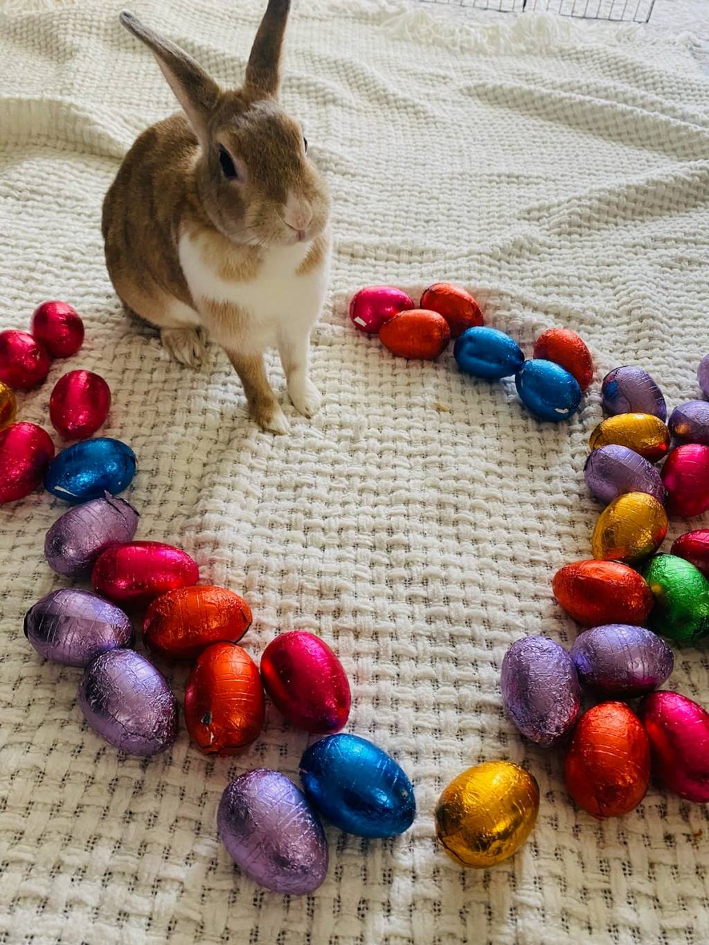 Où trouver aux USA d’excellents œufs en chocolat pour Pâques  ~ Where to Find in the USA Excellent Chocolate Eggs for&nbsp;Easter